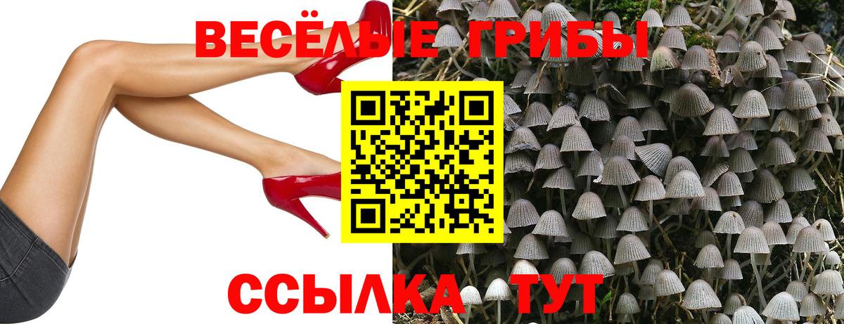 Псилоцибиновые грибы MAGIC MUSHROOMS  Вход с VPN  Красноярск  Галлюциногенные грибы GOLDEN TEACHER 